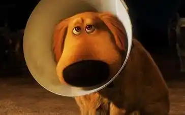 飞屋环游记特辑会说话的狗