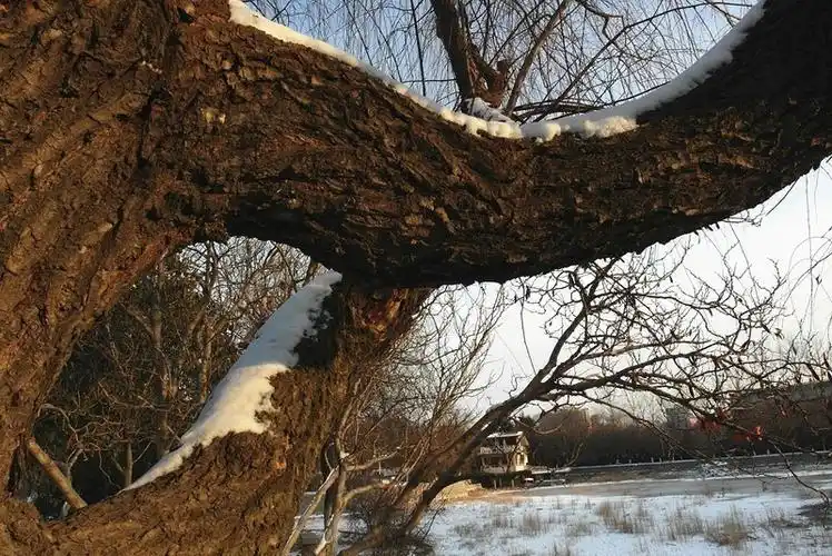 三星(samsung)ex2f 样张图-zol中关村在线