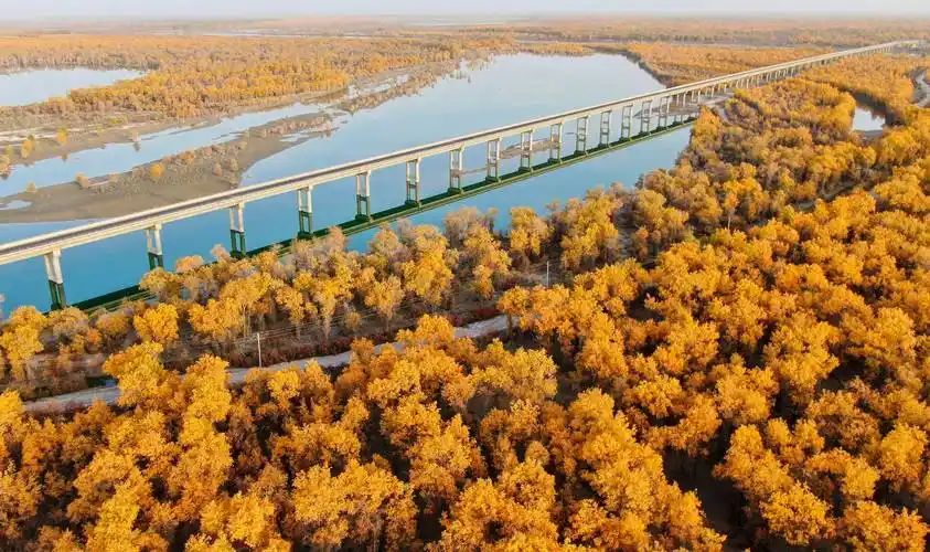 这是10月31日在新疆沙雅县月亮湾景区拍摄的胡杨林(无人机照片).