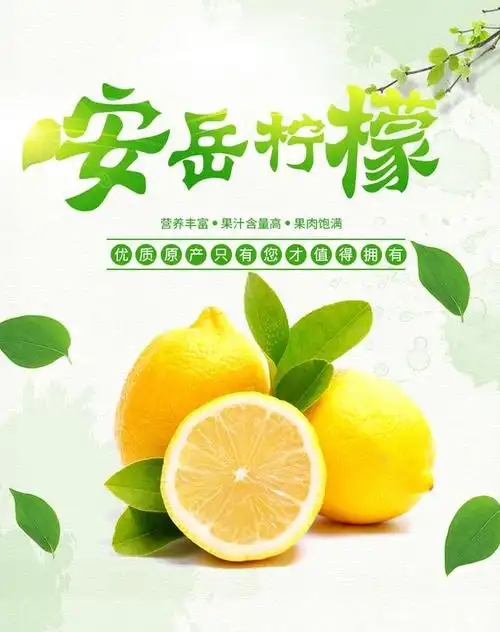 净重安岳黄柠檬新鲜皮薄多汁