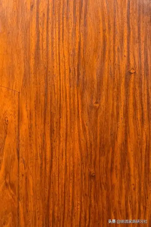 黄花梨木纹图鉴_纹理