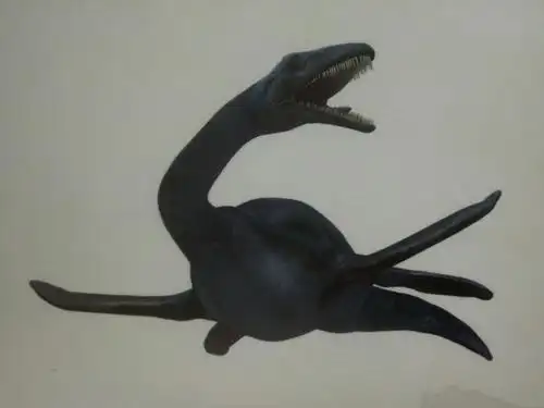 蛇颈龙――脖子像蛇一样.