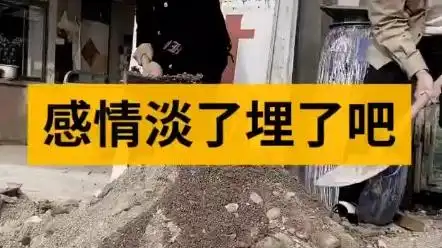 兄弟感情淡了埋了吧_哔哩哔哩_bilibili