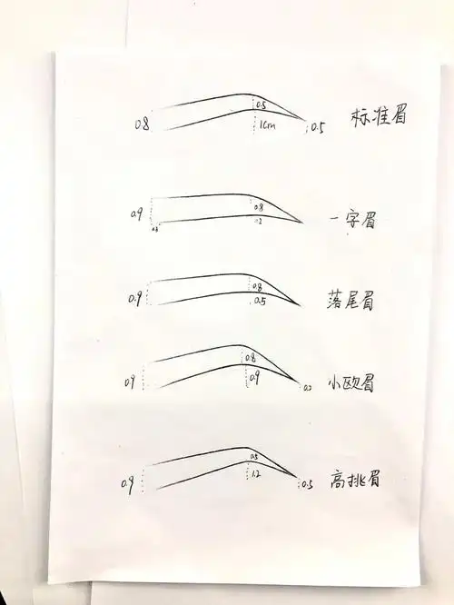 新手各大眉形定点画法标准眉小欧眉平直眉