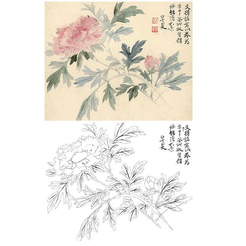 工笔画白描底稿恽寿平没花卉小品实物打印稿尺寸国画
