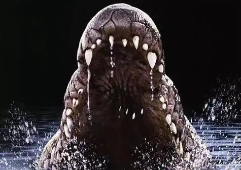 世界上最强巨鳄是什么(地球上最大的鳄鱼)(1)