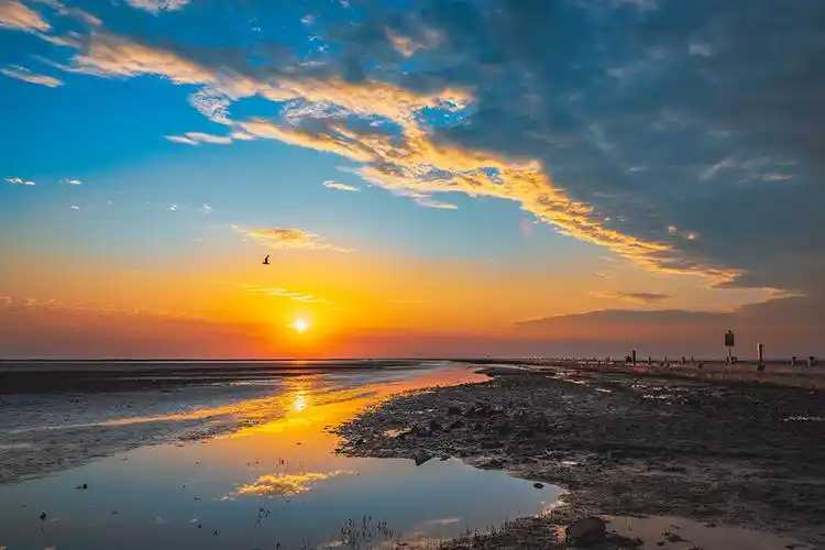 东营海边朝霞满天