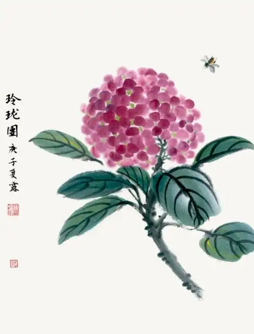 国画每日一画绣球花