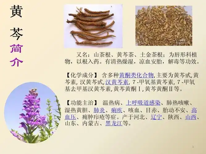 黄芩苷的提取分离鉴定ppt