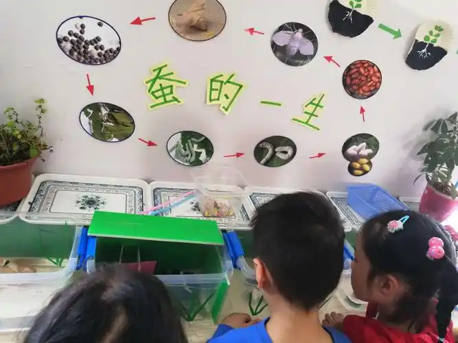 蚕宝宝成长记 - 美篇