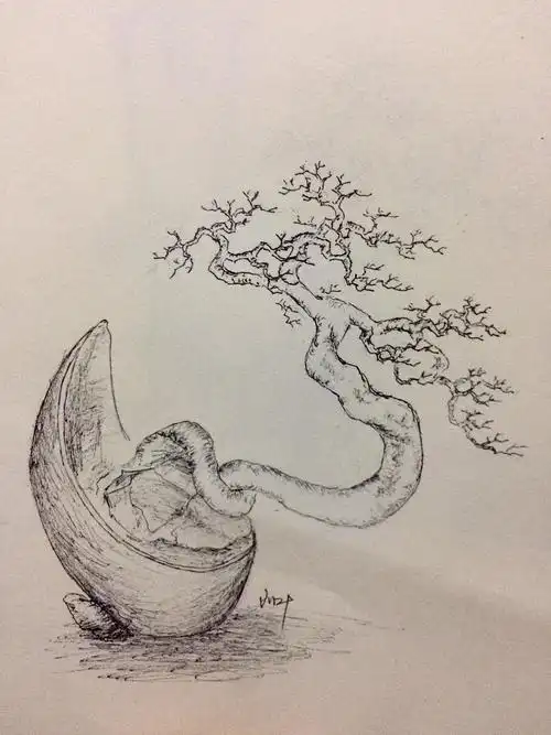 手绘盆景设计图