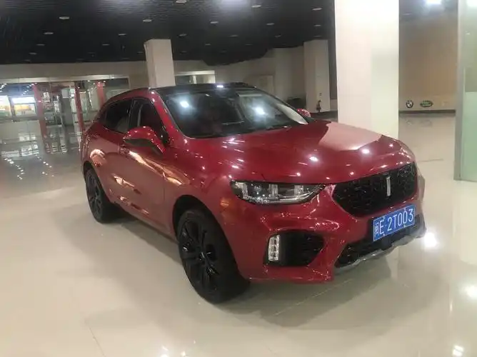 出18年超豪华型20t魏派vv5