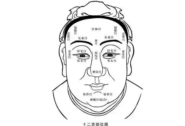 面相看你是富是贵是贫是善还是恶