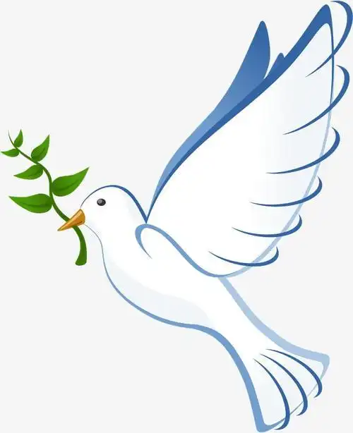 怎么画彩色鸽子的简笔画教你如何简单画和平鸽节日简笔画简笔画大全