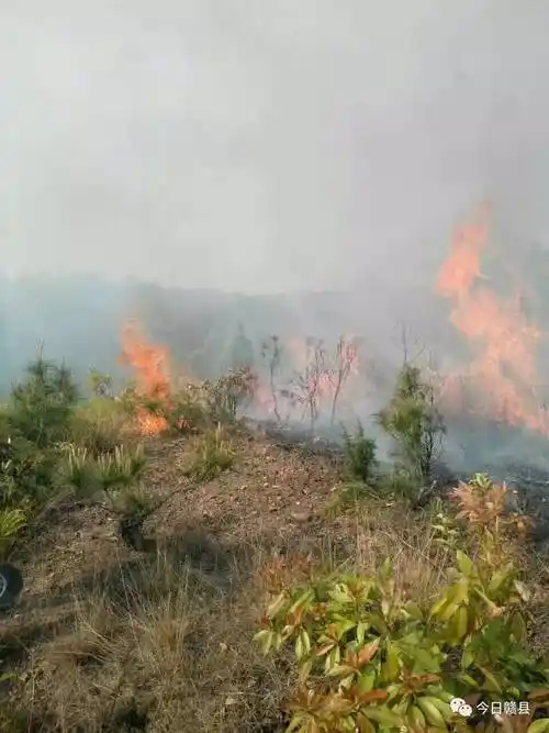 这个大火漫山遍野的清明节,值得全赣县人深思!(附火烧山现场视频)_搜