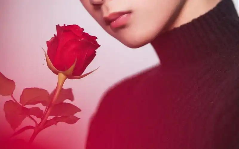 [ 玫瑰少年 | 刘耀文 ] / 哪朵玫瑰没有荆棘