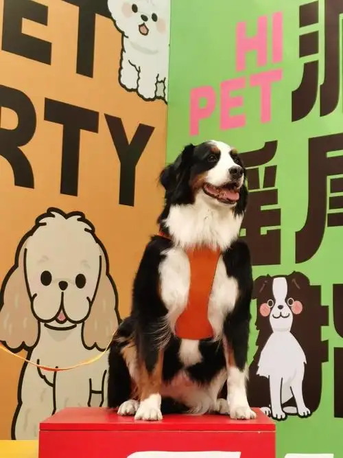 金凤在外面是特别活泼开朗热情的小女孩儿一枚,没有mean的表情