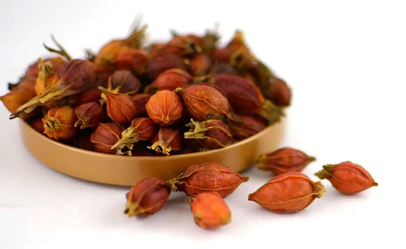 栀子(栀子泡水喝有什么好处)