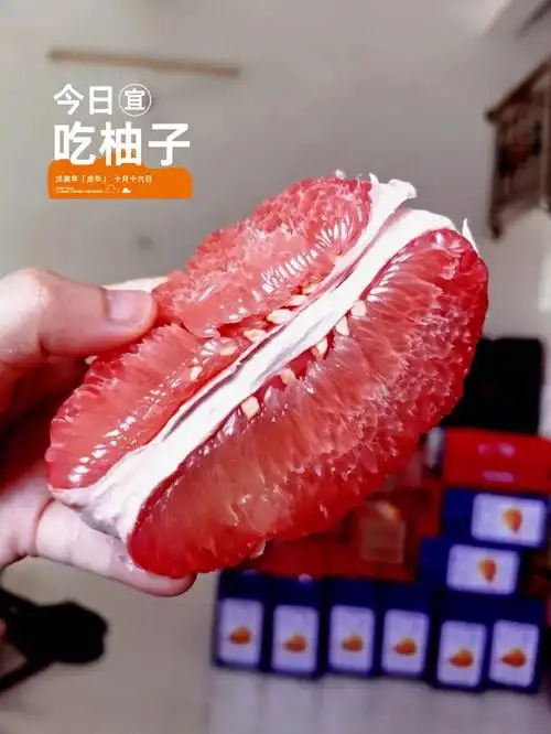 为什么这个柚子真这么好吃71真的太太太甜了