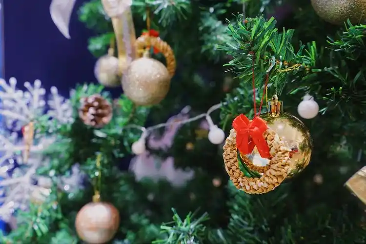 2020圣诞之际等你来!