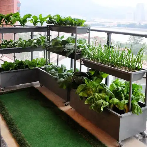 种菜盆阳台家庭蔬菜花架