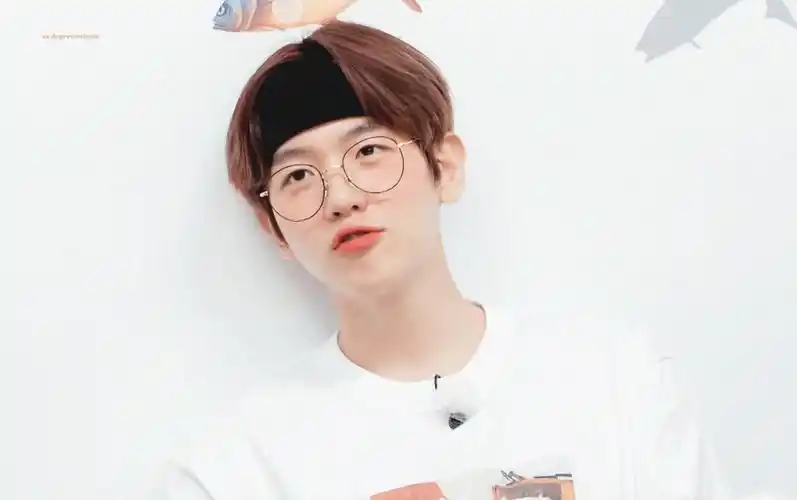 【边伯贤】在团综里的帅气/可爱/搞笑cut 1-10集【边伯贤】可爱暴击第