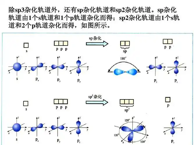 sp杂化 杂化轨道外 还有sp杂化轨道和 杂化轨道.