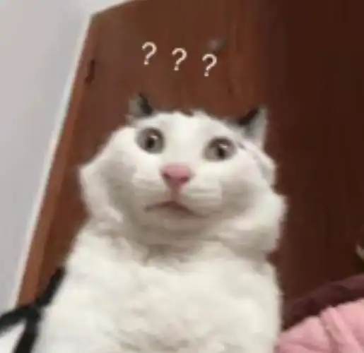 简老师面对鹤鹤为什么脸红 我疑惑脸