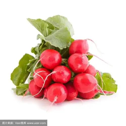 红色的萝卜蔬菜