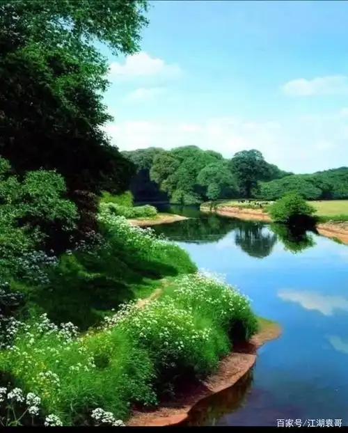 春天鸟语花香,种下梦想的种子