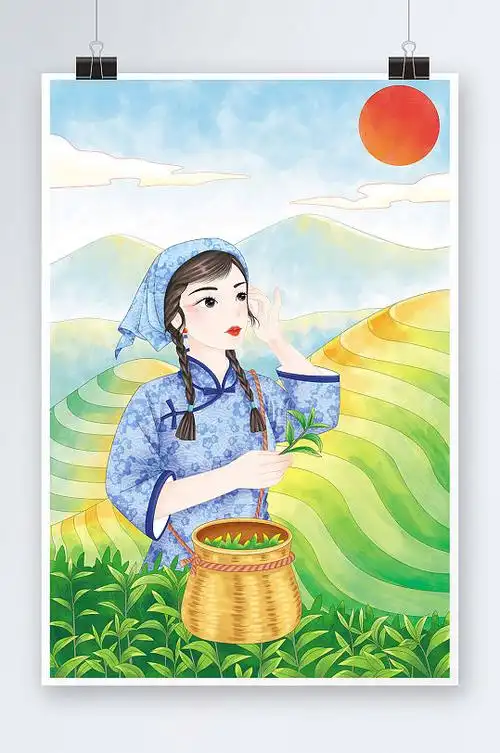 采茶女茶叶采茶人物插画正版作品,可商用姐妹采茶手绘女孩采茶茶叶