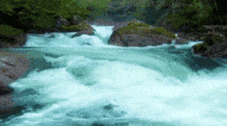 浙江海洋大学团委推行"大学生河长制",一起参与"五水共治"!