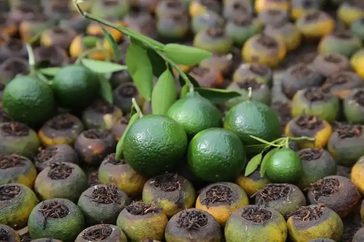 【每周一茶】小青柑——香甜好喝又养生的茗品