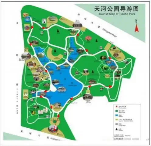 11月17日广州天河公园健走活动预告