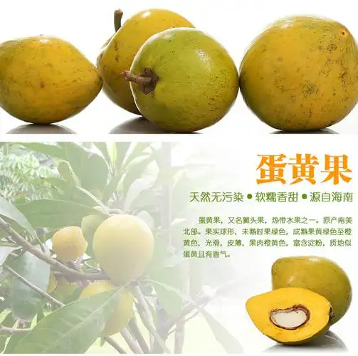 泰国进口 蛋黄果 土豪金 营养佳品 鸡蛋果 热带水果 3斤包邮