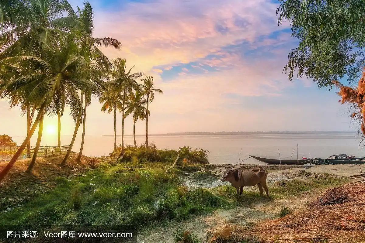 河流,印度,孟加拉邦,风景,地形