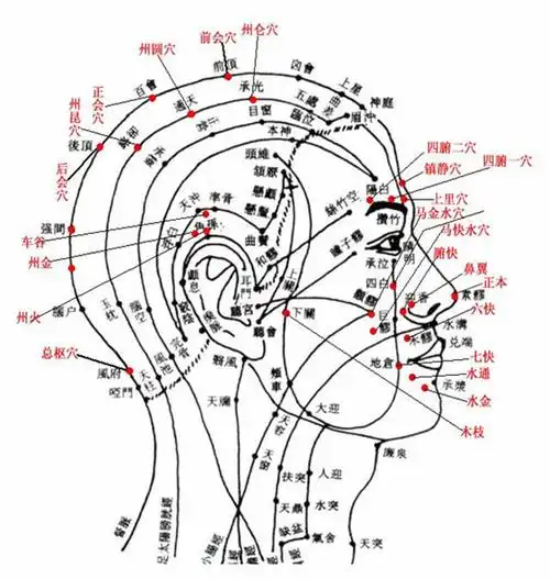 第一节神经系统疾病病人常见症状体征的护理汇编