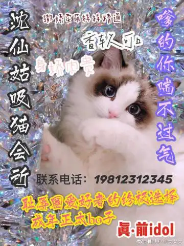 叫我小仙女女女