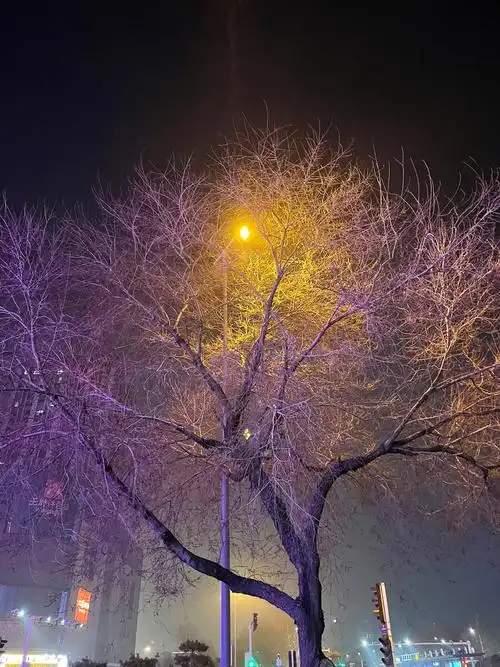 凌晨两点的街头