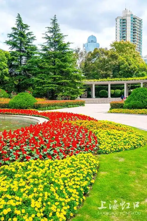 鲁迅|公园|大草坪_网易订阅