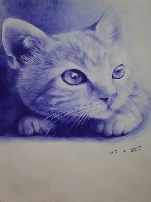 [讨论]90后高颜值小伙,花300多小时的圆珠笔画走红,狂吸44万粉