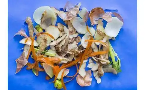 果皮,蔬菜是(属于)什么垃圾_邯郸市 - 垃圾分类