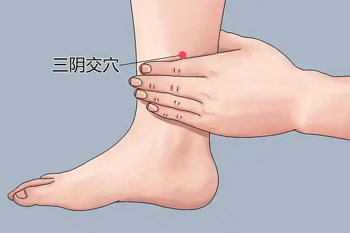 艾灸的部位图片_有来医生