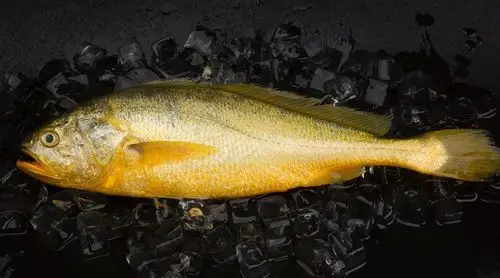 一小时前,就是这条很黄很黄的大黄鱼刷屏了