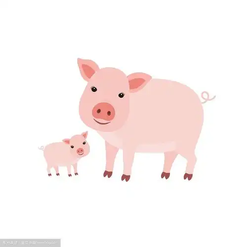 可爱的卡通猪妈妈和她的幼崽