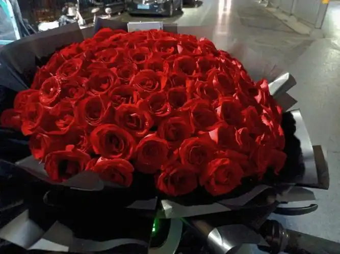99朵玫瑰95959595