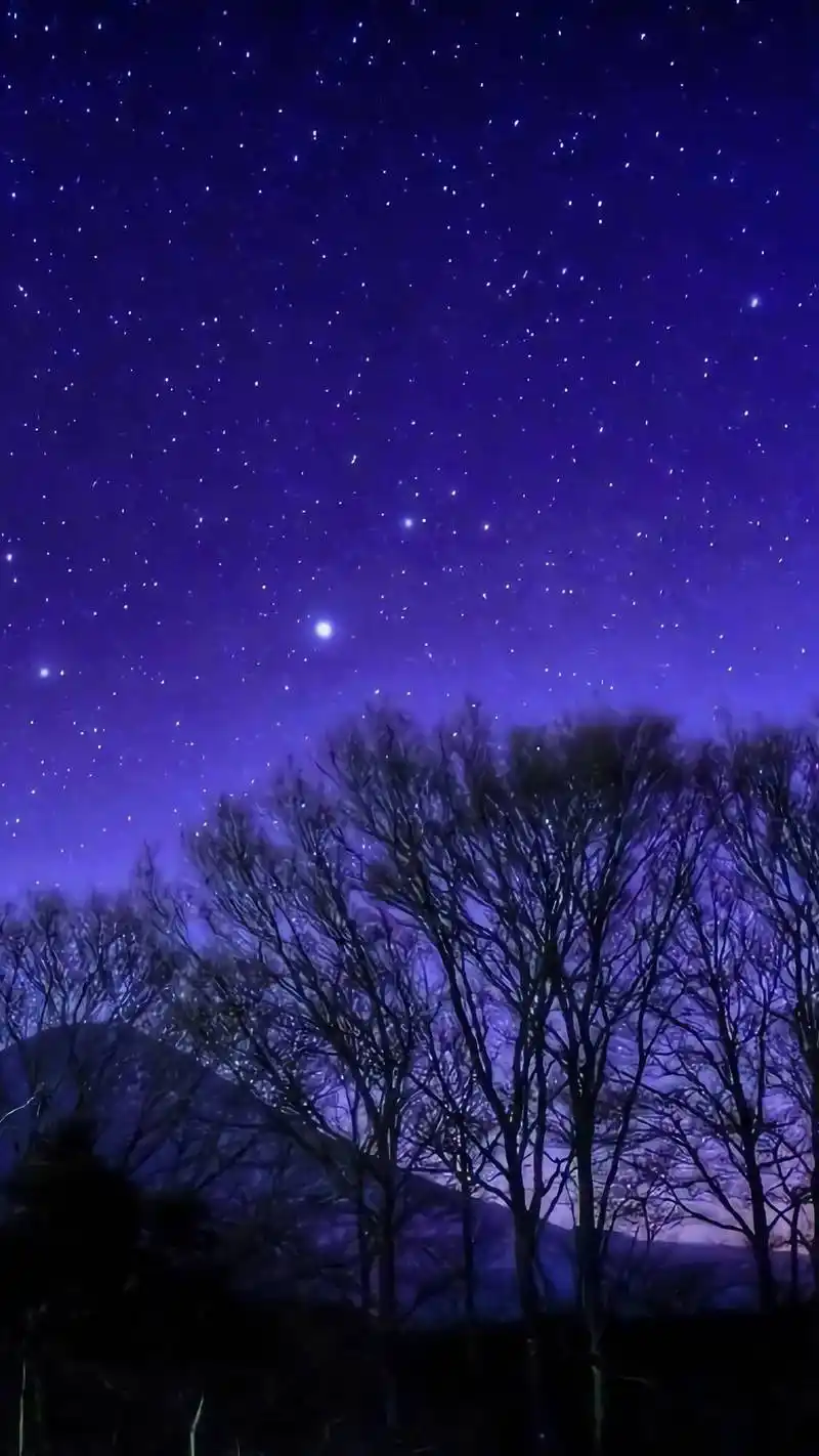 高清唯美夜色星空壁纸.