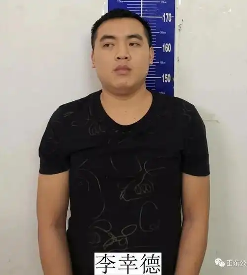 5.犯罪嫌疑人李世好,男,1984年12月21日生,广西田东县平马镇人.