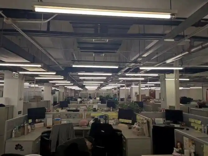 平日工作的办公室.作者供图