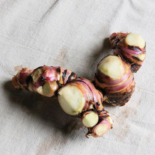 蕉芋广东特产新鲜美人蕉藕姜芋头旱藕木芋野生芭蕉芋野菜粗粮煲汤